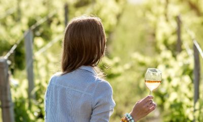 Exploring Crete’s Vineyards and Wineries: Tastings and Tours for Wine Enthusiasts